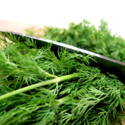 Dill Olive Oil