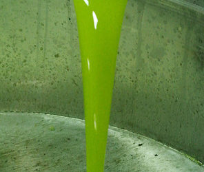 EVOO: Is One Enough for Your Kitchen?